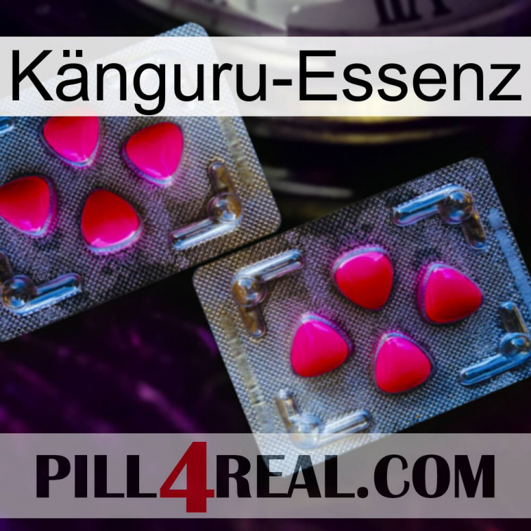Känguru-Essenz 15